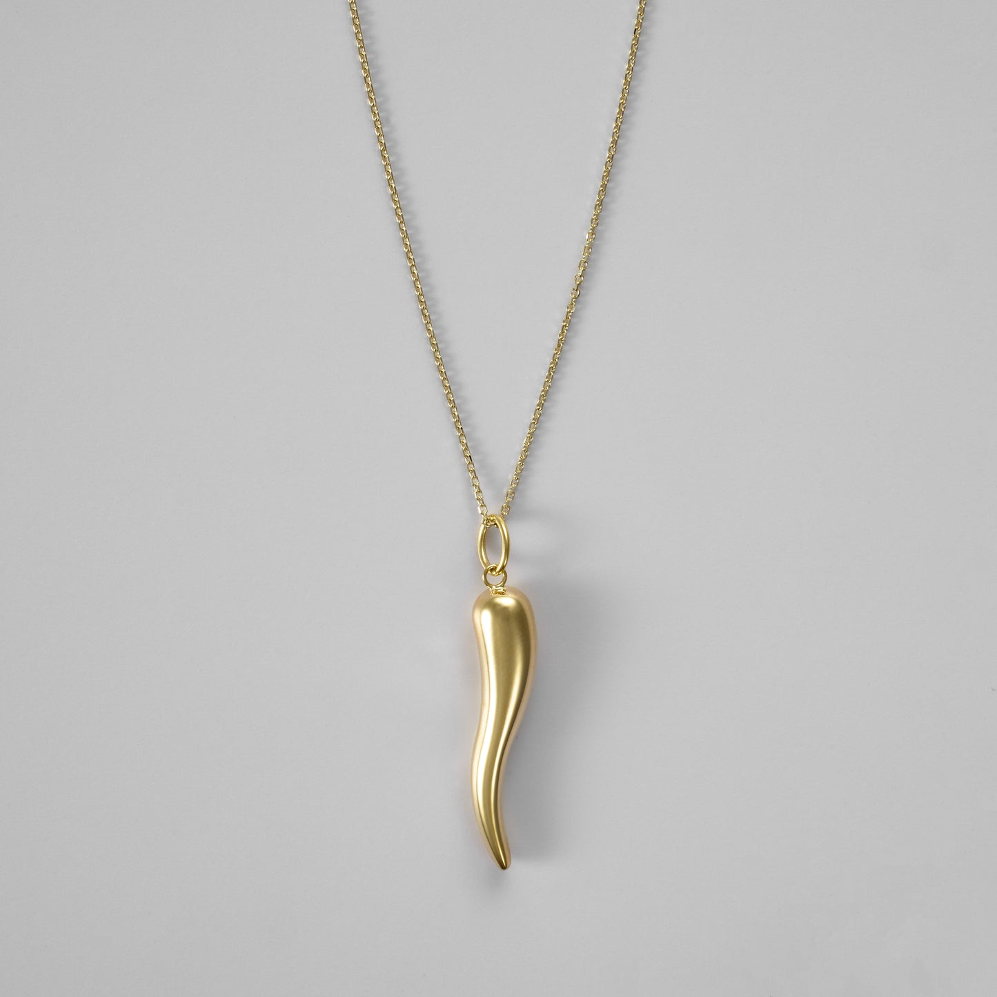 Italian Horn Pendant - FJC