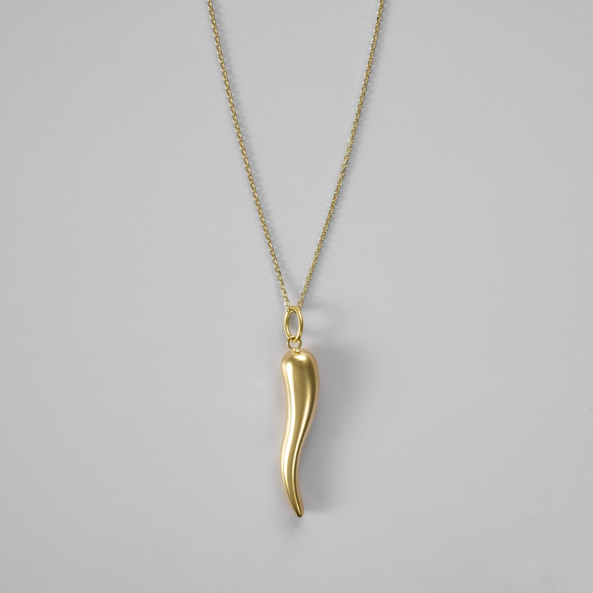 Italian Horn Pendant - FJC